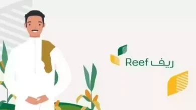 طريقة الاستعلام عن دعم ريف