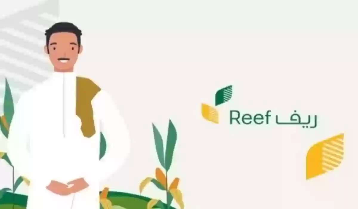 طريقة الاستعلام عن دعم ريف